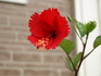 P9296561.JPG