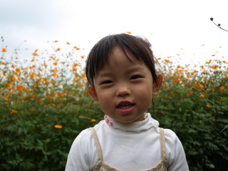 PA046664.JPG
