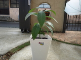 PB147567.JPG