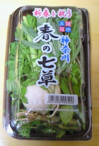 20100106o_nanakusa.JPG