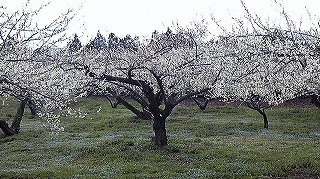 100313_132222.jpg