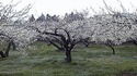 100313_132222.jpg