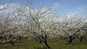 100313_132653.jpg