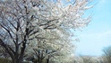 100410_123954.jpg
