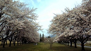 100411_110500.jpg