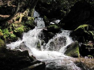 IMG_0169.JPG