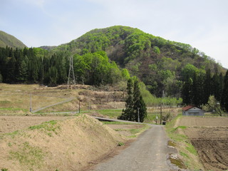IMG_0206.JPG