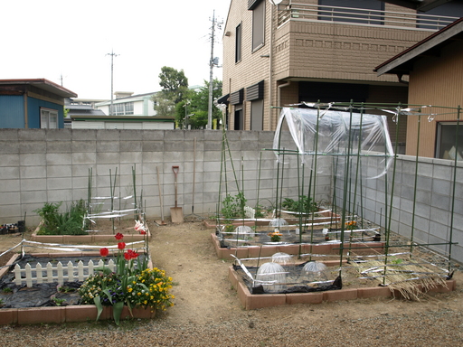 P5050264.JPG