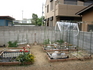 P5050264.JPG