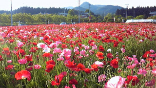 100606_164744.jpg