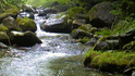 100626_161115.jpg