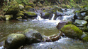 100626_161427.jpg