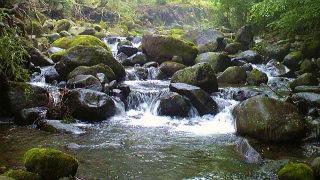 100626_161706.jpg