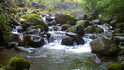 100626_161706.jpg