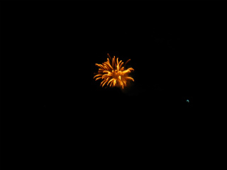 IMG_9204.jpg