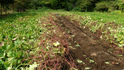 DSC00665.jpg