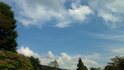 DSC00726.jpg