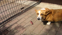 DSC00739.jpg