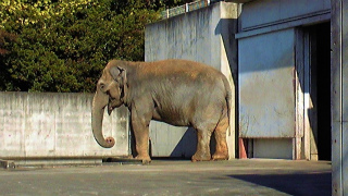 101106_122040.jpg