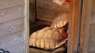 DSC00946.jpg