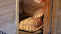 DSC00946.jpg