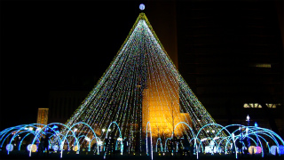 DSC01254.jpg