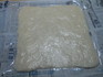 NEC_0048.JPG