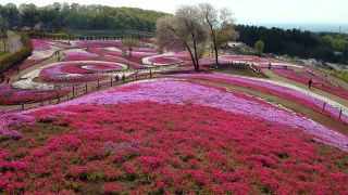 10640044_1103481314_251large.jpg