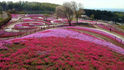 10640044_1103481314_251large.jpg