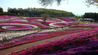 10640044_1103481318_41large.jpg
