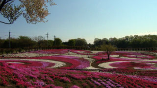 10640044_1103481323_125large.jpg