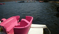 image002.jpg