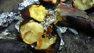 111030_121311.jpg