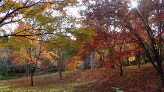 DSC02354.jpg